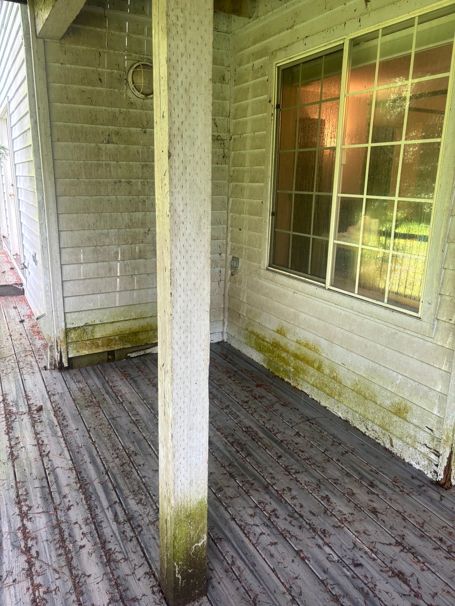 Exterior Siding/House Wash