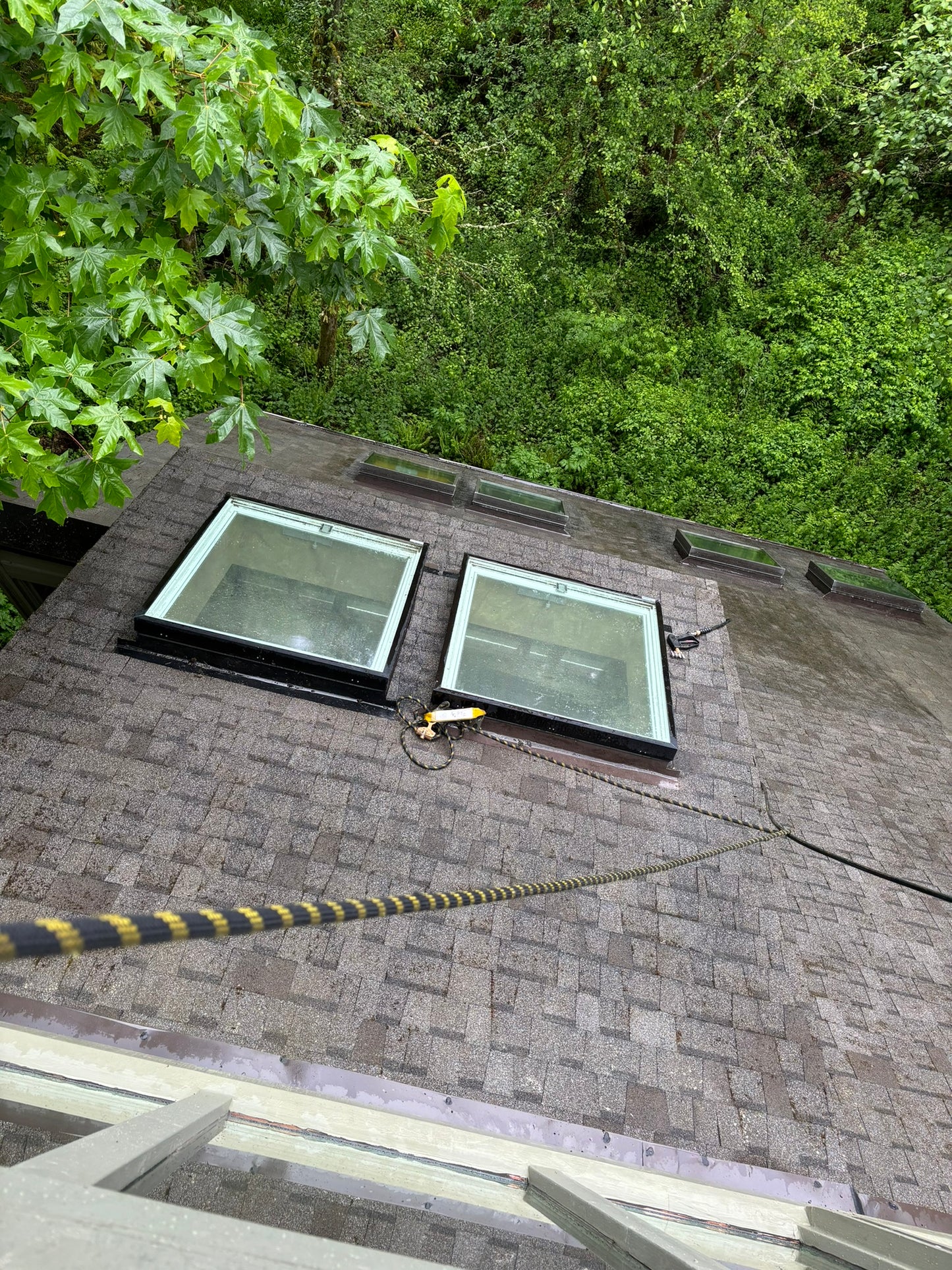 Roof Cleaning