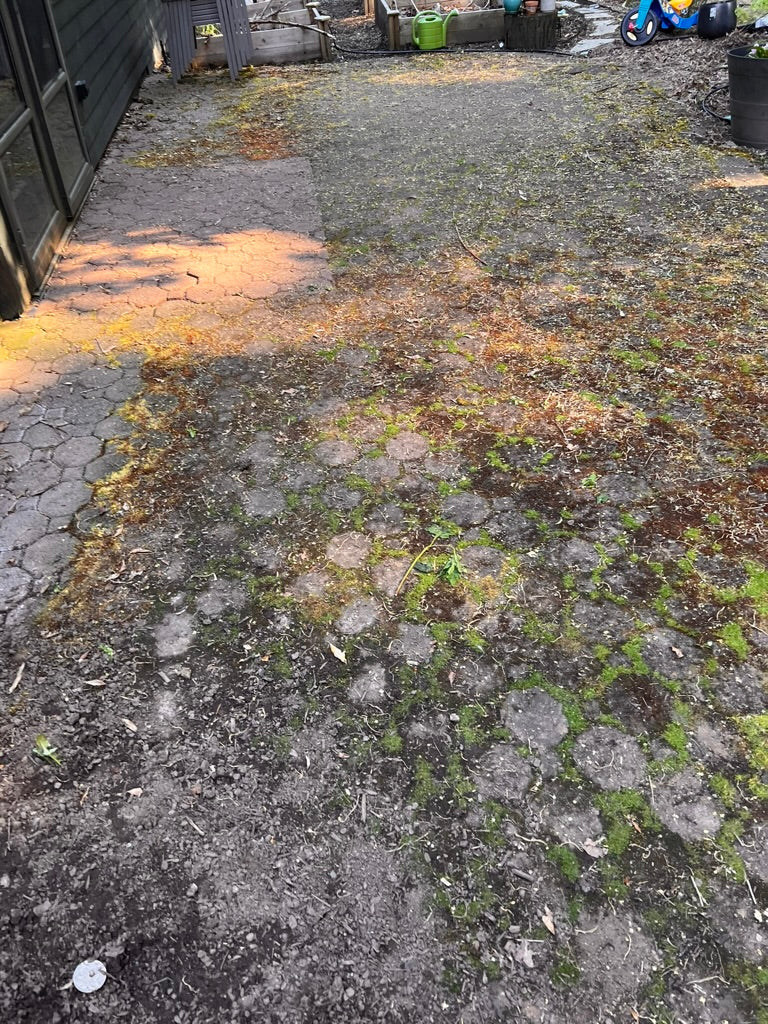 Pressure Washing