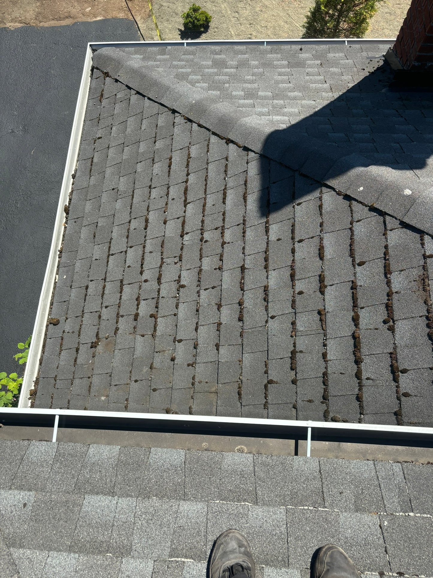 Gutter Cleaning