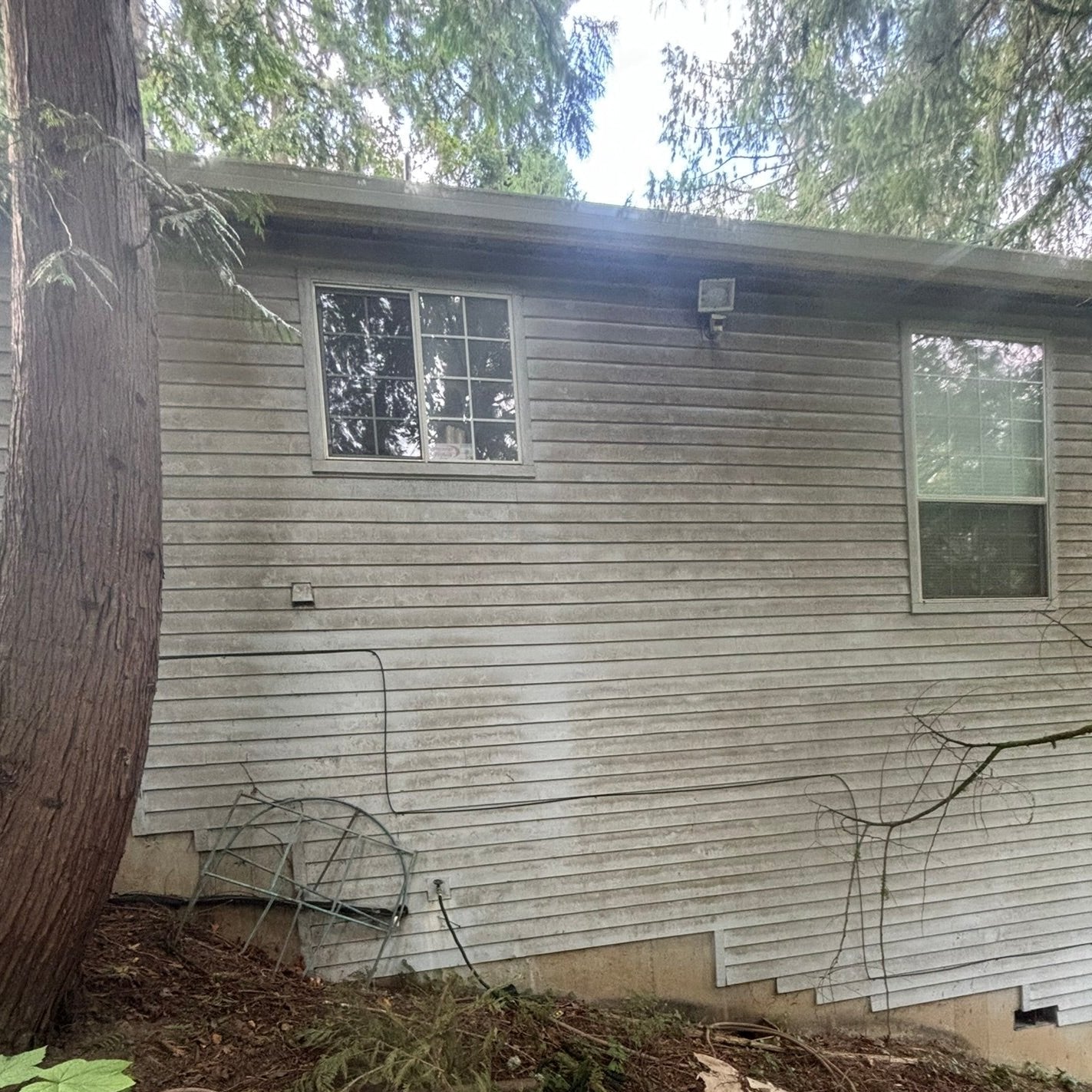 Exterior Siding/House Wash