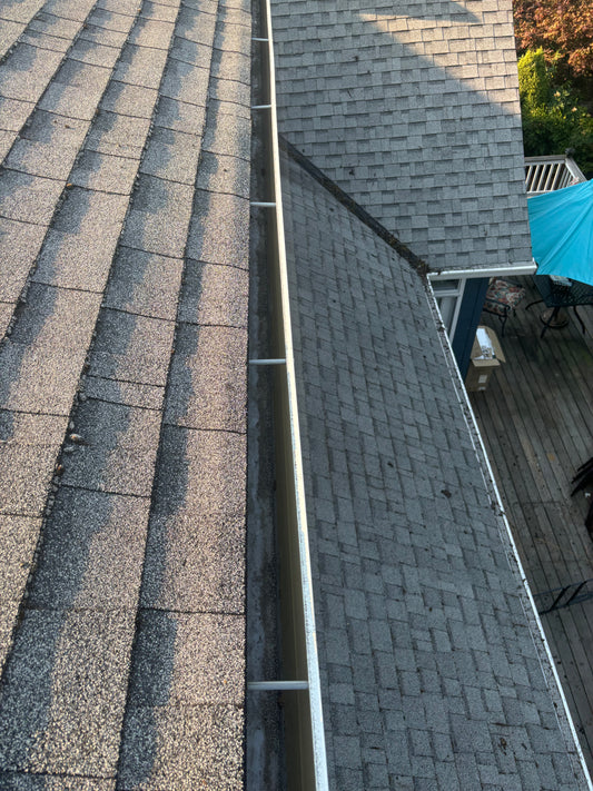 Gutter Cleaning