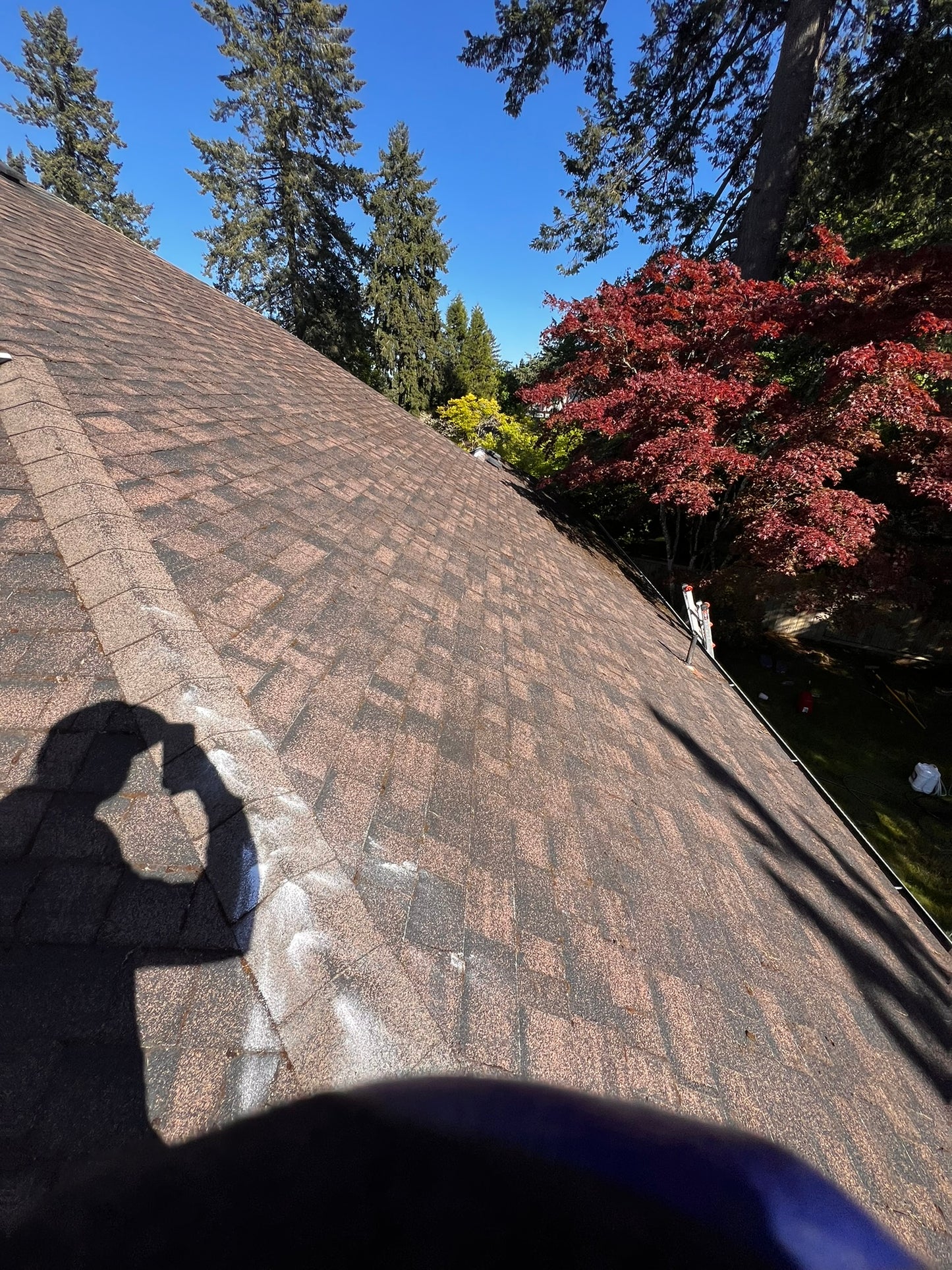 Roof Cleaning