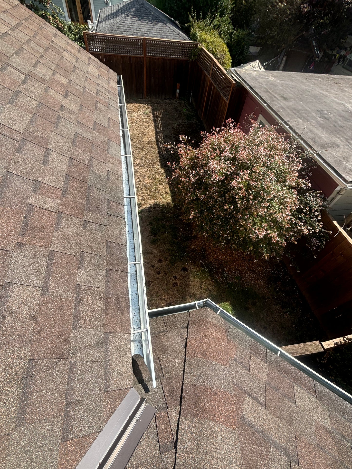 Gutter Cleaning